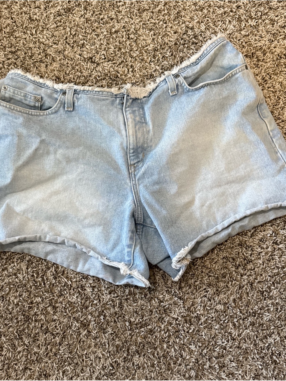 Vintage Venezia Jean Shorts